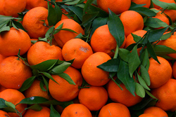 Le clementine
